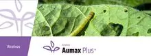 Aumax