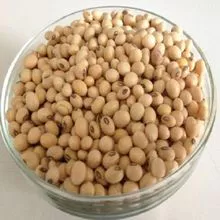 Brazil Premium Quality Yellow Soybean for Exporting Grade