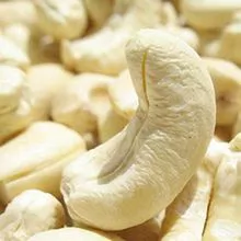 Cashew nut w320 price Kaju w320 cashew single spices raw cashew nuts healthy snacks organic