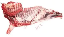 Brazilian Halal, w/ SIF, Frozen Beef Full Forequarter (Good Price)
