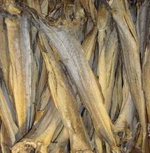 Oferecer alta qualidade peixes estoque seco da Noruega melhor qualidade melhor