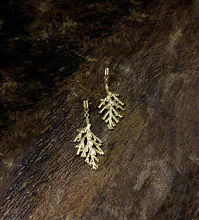 Arbor Vitae Leaf Earring