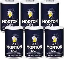 Morton Table Salt Plain