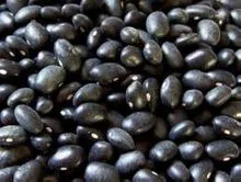 frijoles negros