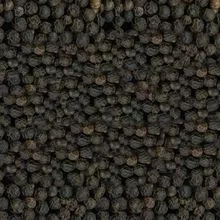  DRIED BLACK PEPPER FOR SALES 