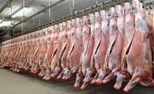 Carne Halal de ternera congelada