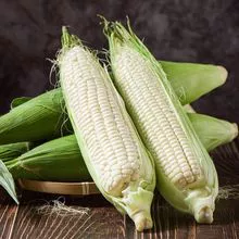 white corn