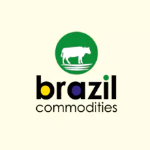 PEÇAS DE FRANGO CONGELADAS PARA QUALQUER PORTO SEGURO DO MUNDO
