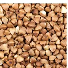 Semente de trigo mourisco integral para venda / Semente de trigo sarraceno torrada inteira para venda