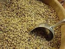 Raw beans coffee Arabica.