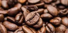 阿拉比卡咖啡豆和罗布斯塔咖啡豆