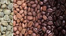 Arabica Coffee - 100%