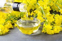 Óleo de canola premium: encomende online hoje!