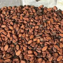 High grade Cocoa Bean Natural dry cocoa bean soybean Vanilla Beans cocoa powder cocoa Pods and Dried Beans