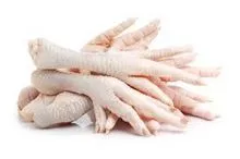 Pés de galinha / patas para exportação