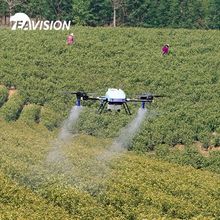 Floresta agrícola de árvores frutíferas pulverização de pesticidas e fertilizantes drone de fazenda