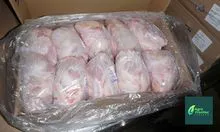 Piezas de Pollo Congeladas HALAL GRADE A 