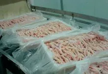 Frozen Chicken Parts Grade A Halal Certificate 