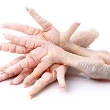Halal Certified Chicken Feet/Paws at Reasonable Price 