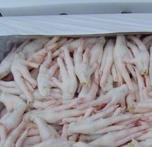 Pés de frango congelados | Pés de Galinha do Brasil