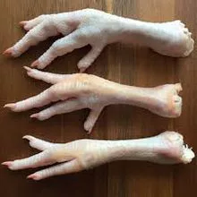Frozen Chicken paws