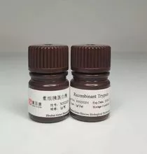 imagem dos produtos