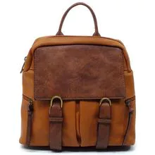 CMS046 Colorblock Backpack