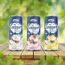 Cocogurt Drink Fruit Juice Flavor | Can, 250Ml (8.5 Fl oz)