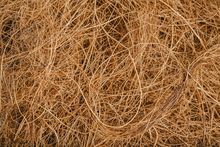 Coconut Fiber