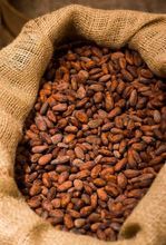 Wholesale natural cocoa beans coffee beans vanilla beans red beans white beans black beans