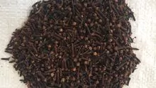 CLOVE OF INDIA