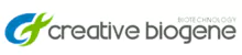 Lentivirus Service