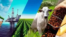 Supply, foreign exchange, commodities, LC, sugar, corn, soybeans, tallow, fuels, insurance