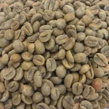 100% Robusta Green Coffee beans