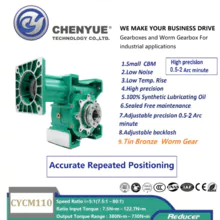 CHENYUE Worm Gearbox NMCM 110 OUTPUT MODE: C1/C2