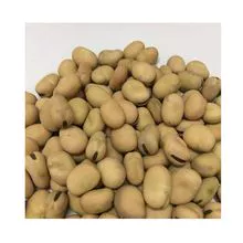 Favas 2 anos de vida útil favas tipo de produto Comum Tipo de cultivo favas