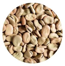 New crop brown and green broad beans faba beans with cheap price