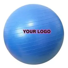 Swiss Pilates Ball Yoga Abdominal Gym Ball 65cm Free Pump