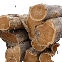 Wood Logs