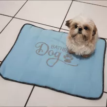 Belodog washable toilet mat kit