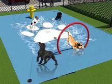 Produtos de treinamento de cães para animais de estimação Equipamento de parque de pulverização de respingos