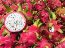 Fruta del dragón