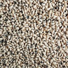 High-Quality . Black Eyed Peas Available Now