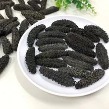 Dried Sea Cucumber