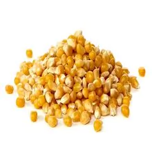 Maíz seco/maíz amarillo seco/maíz dulce seco Mejor precio precio competitivo