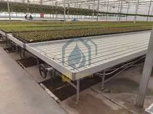 imagem dos produtos