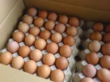 Huevos de pollo blancos y marrones frescos (huevos frescos de mesa)