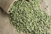 绿色的咖啡豆咖啡厅的树林 1 或 3 公斤