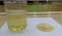 Enzyme-based plant source amino acid 80 powder all water-soluble no precipitation