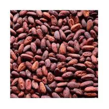 COCOA BEANS